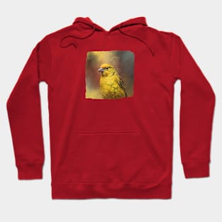 Wild Canary 01 Hoodie